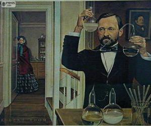 yapboz Louis Pasteur (1822-1895) Fransız kimyager